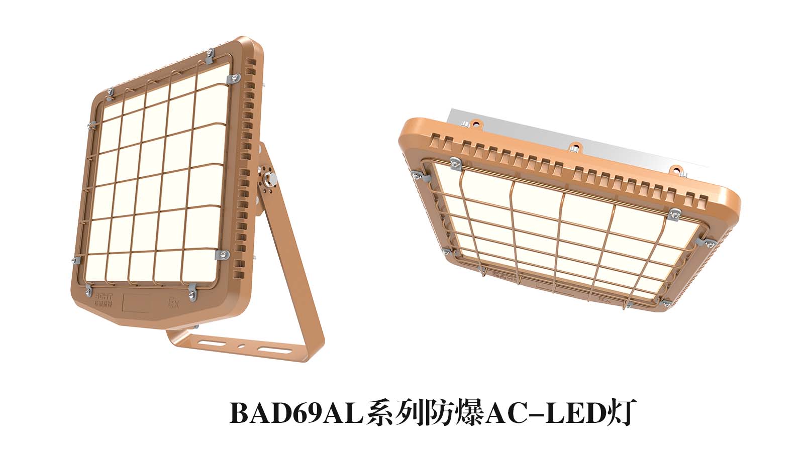 BAD69AL系列防爆AC-LED灯